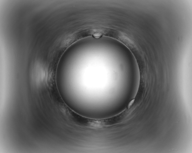 X0000085740079200703161037