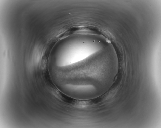 X0000085740081200703161037