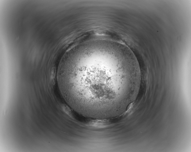 X0000085740082200703161037