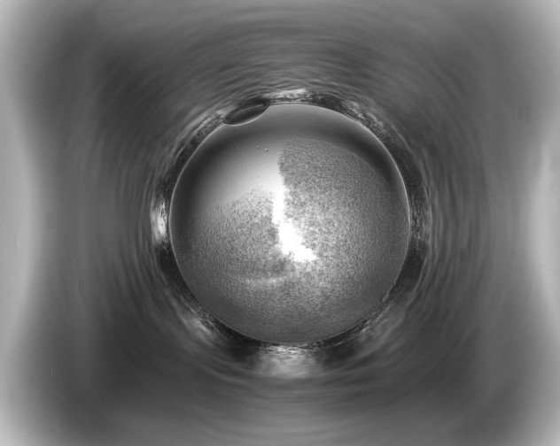 X0000085740095200703161037