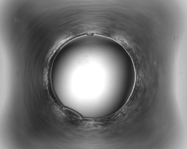 X0000085740098200703161037