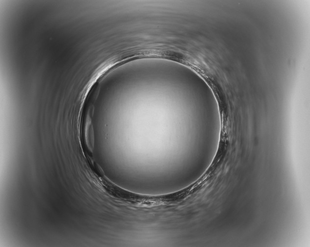 X0000085740099200703161037
