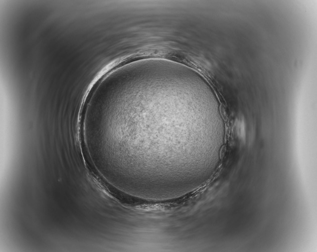 X0000085740100200703161037