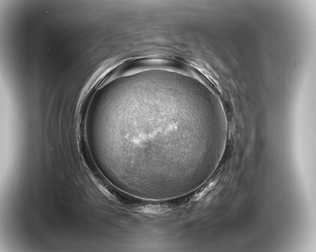 X0000085740101200703161037
