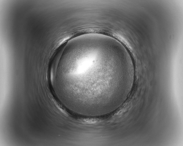 X0000085740105200703161037