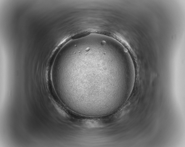 X0000085740106200703161037