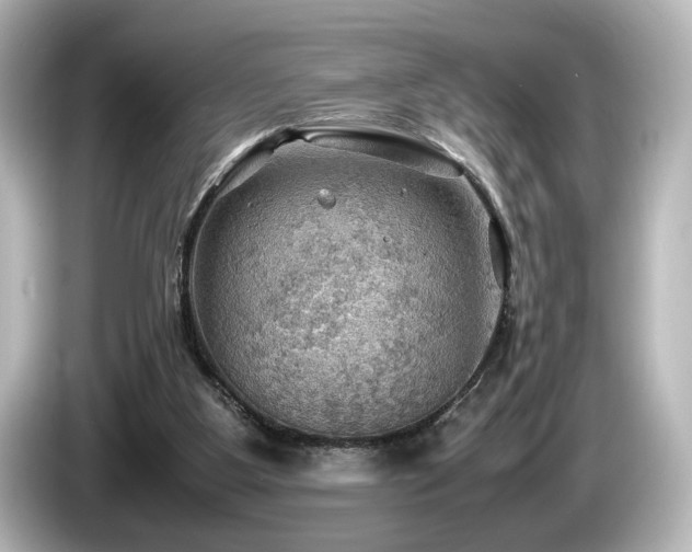 X0000085740107200703161037