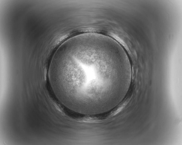 X0000085740109200703161037