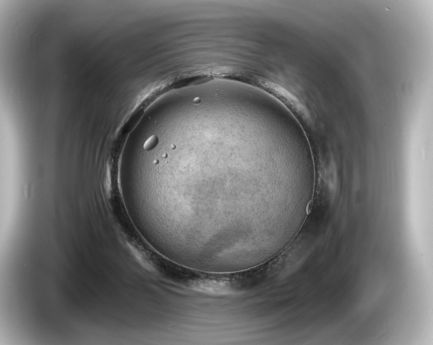 X0000085740110200703161037
