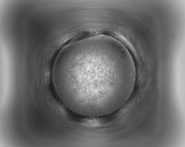 X0000085740113200703161037