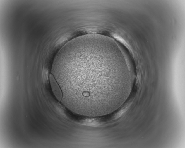 X0000085740117200703161036