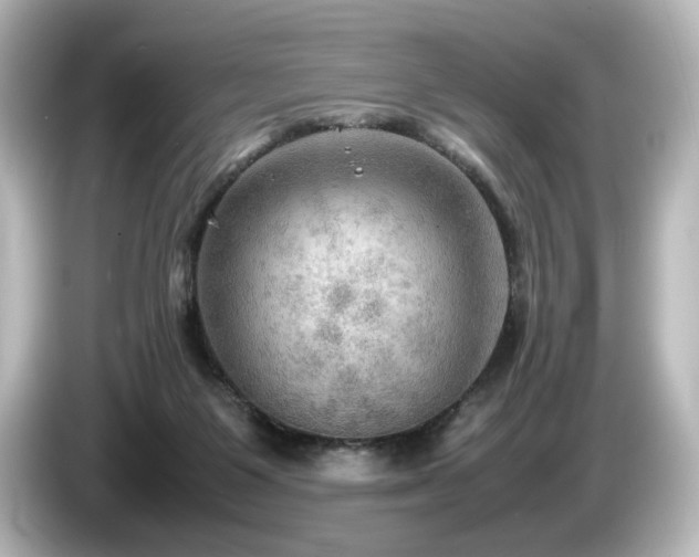 X0000085740119200703161036