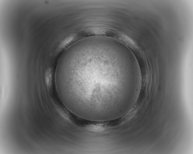 X0000085740120200703161036