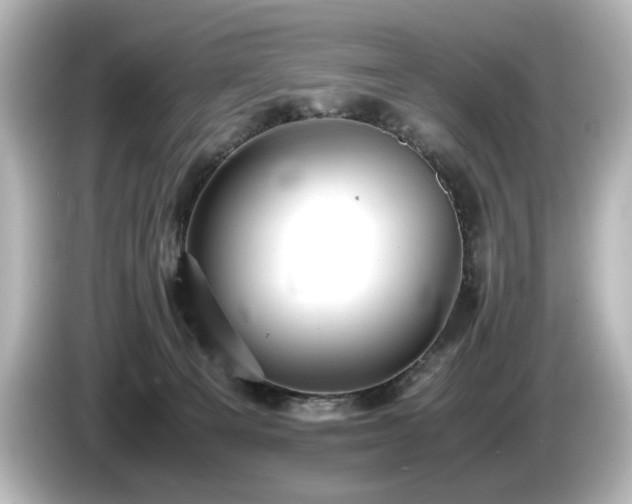 X0000085740129200703161036