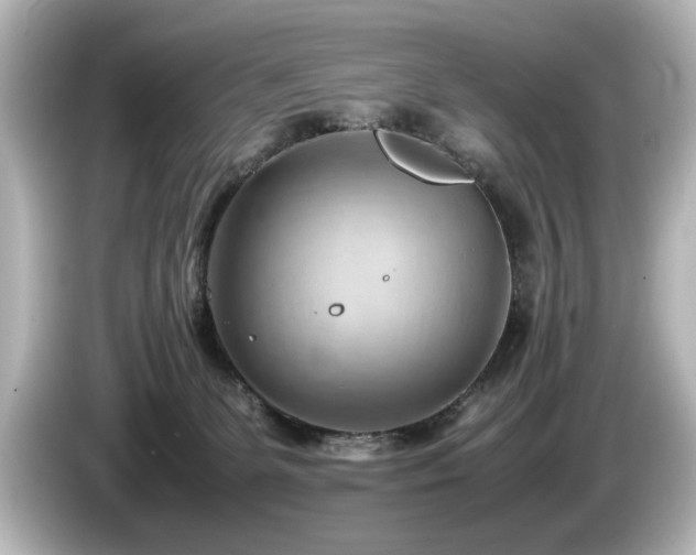 X0000085740131200703161036