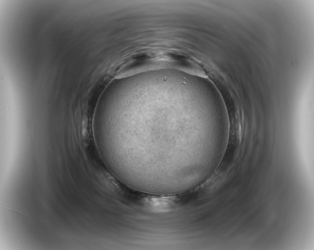 X0000085740134200703161036