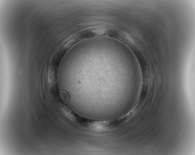 X0000085740136200703161036