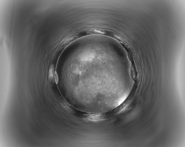 X0000085740143200703161036
