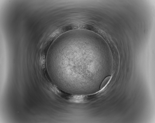X0000085740144200703161036