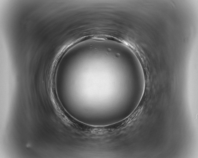 X0000085740145200703161035