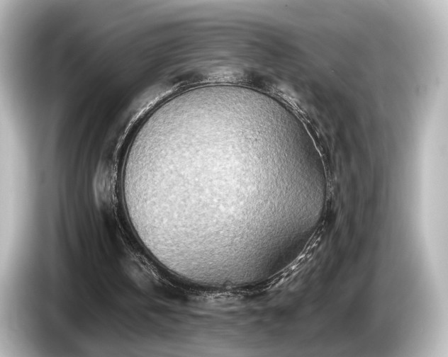 X0000085740146200703161035