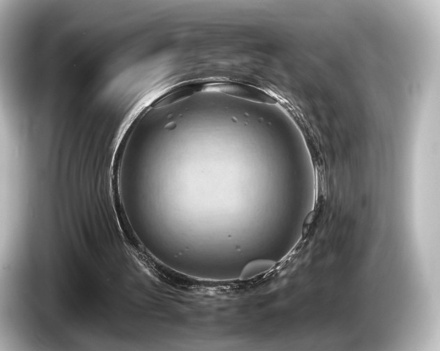 X0000085740147200703161035