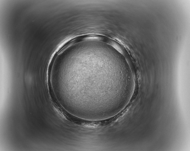 X0000085740148200703161035