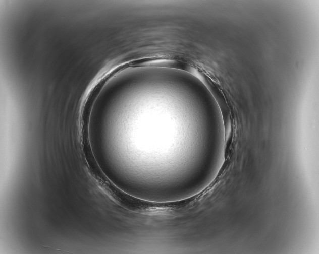 X0000085740150200703161035
