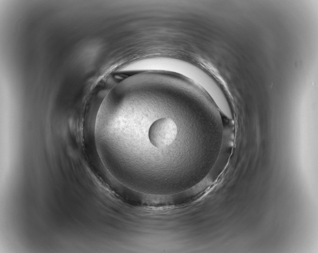 X0000085740154200703161036