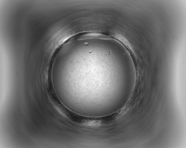 X0000085740155200703161036