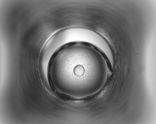 X0000085740156200703161036