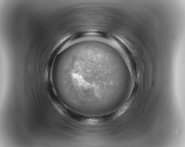X0000085740158200703161036