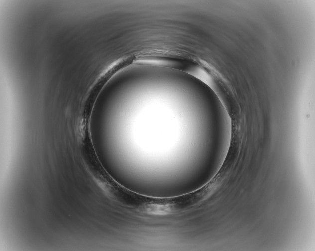 X0000085740160200703161036
