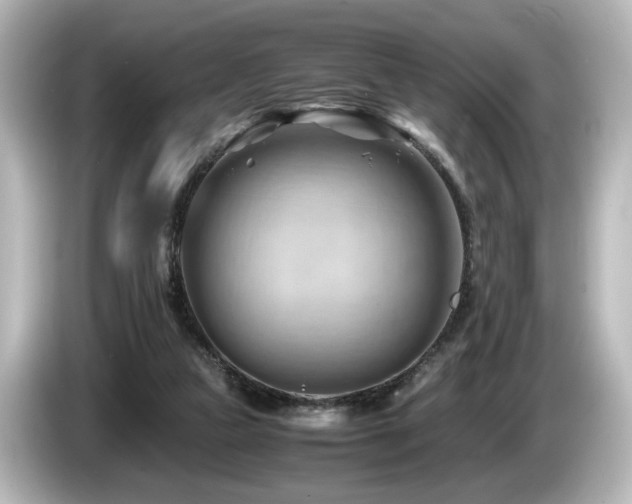 X0000085740161200703161036