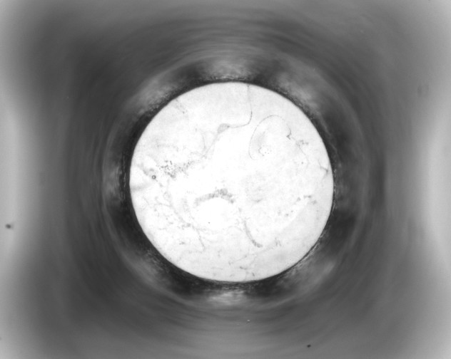 X0000085740162200703161036
