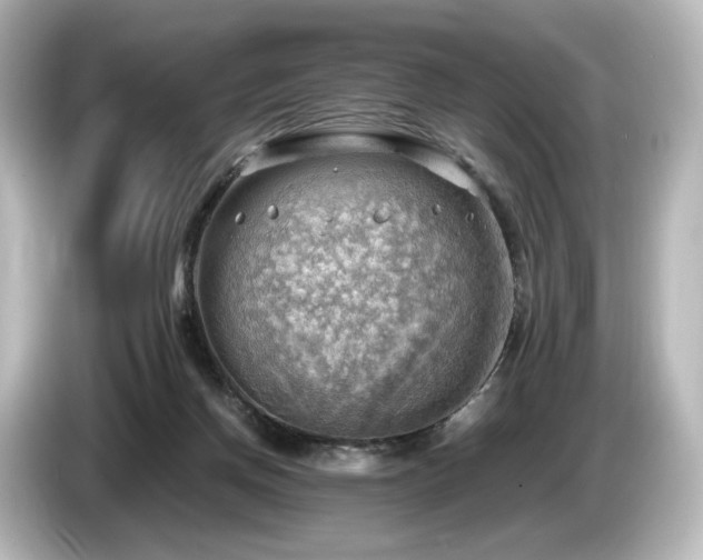 X0000085740166200703161036