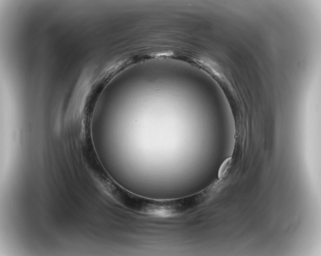 X0000085740167200703161036