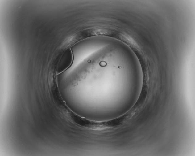 X0000085740169200703161036