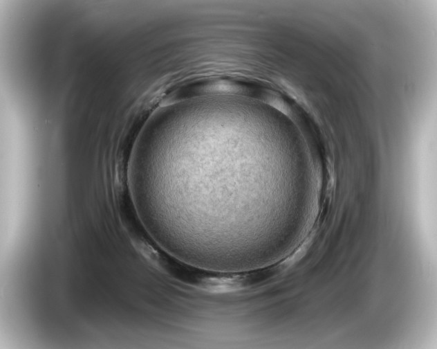 X0000085740170200703161036