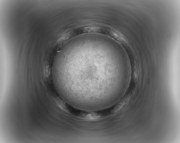 X0000085740173200703161036