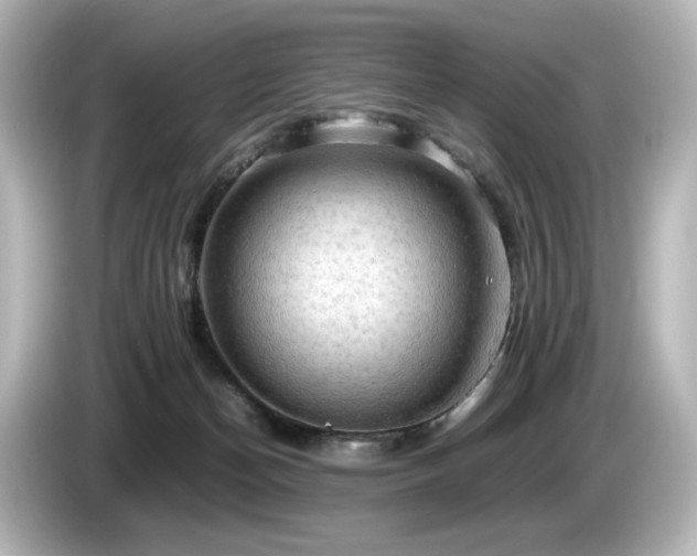 X0000085740174200703161036