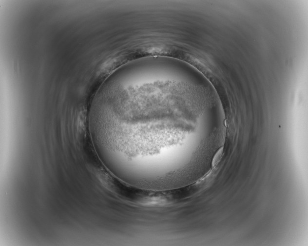 X0000085740175200703161036