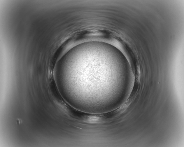 X0000085740176200703161036