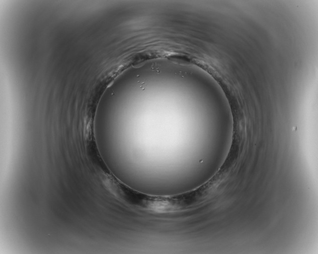 X0000085740177200703161036