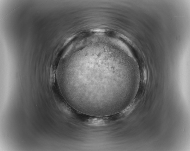 X0000085740180200703161036