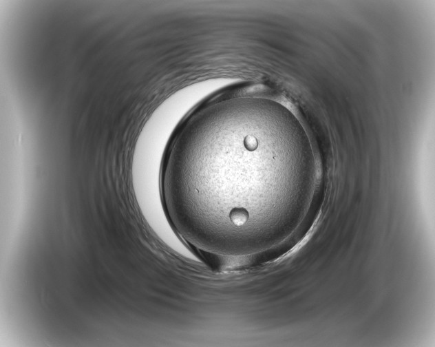 X0000085740186200703161036