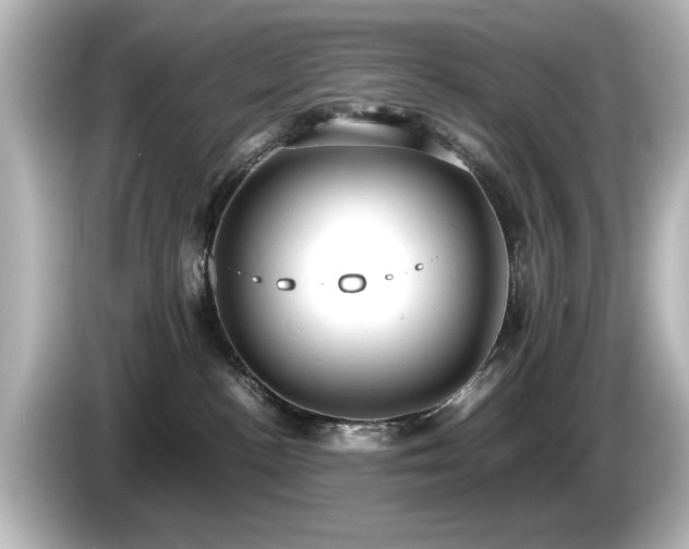 X0000085740188200703161036