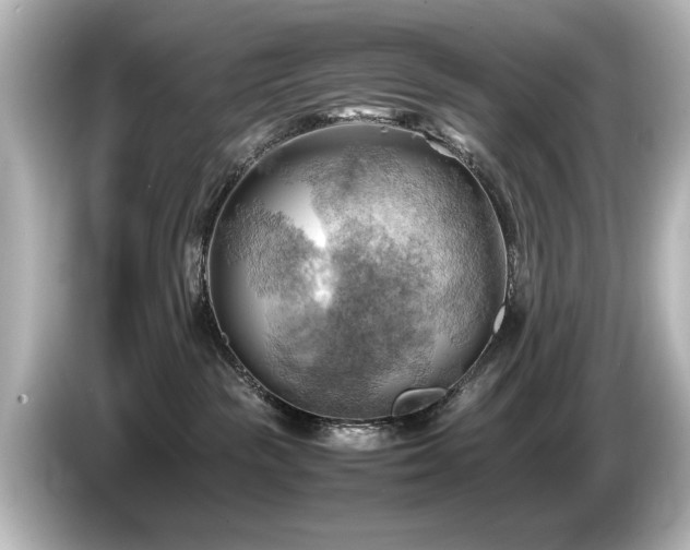 X0000085740189200703161036