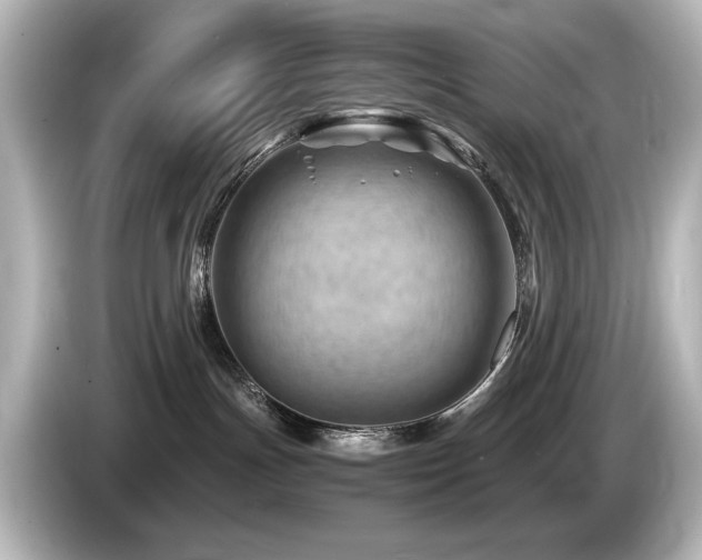 X0000085740191200703161036
