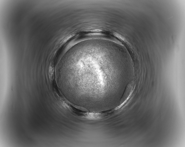 X0000085740192200703161036